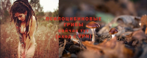синтетический гашиш Алексин