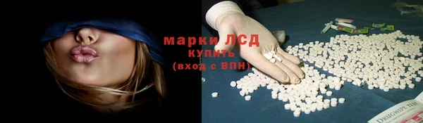 прущий лед Вязьма