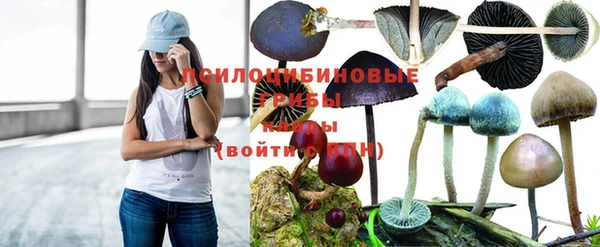 синтетический гашиш Алексин